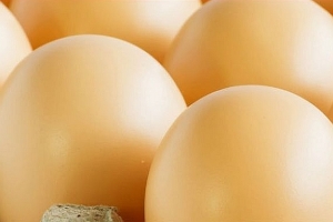 Uwaga! Te jajka są skażone Salmonellą