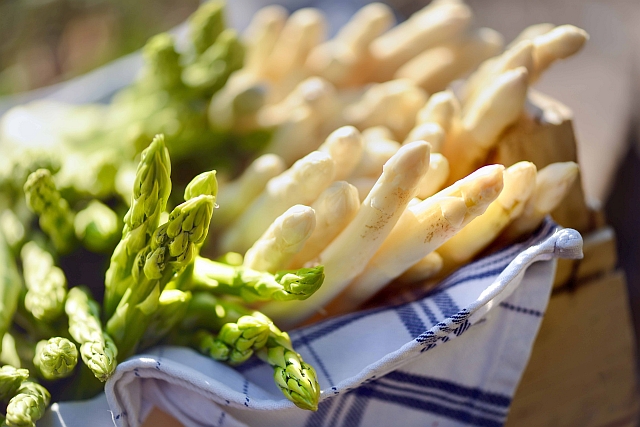 Co zwiedzić w Hanowerze