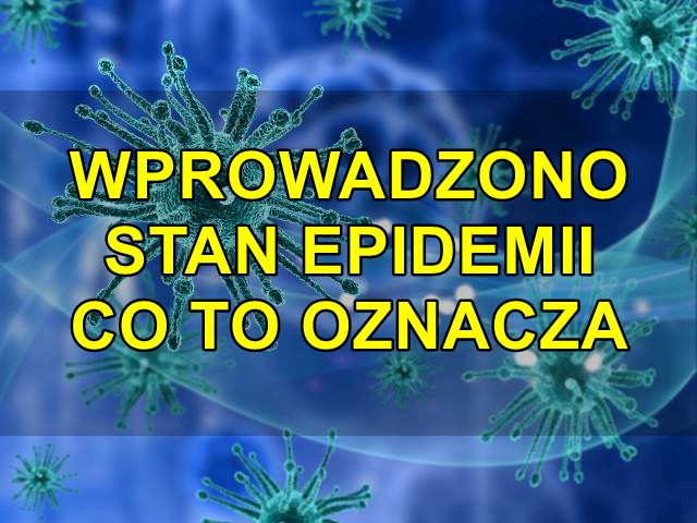 Stan epidemii co to oznacza