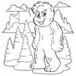 Yeti