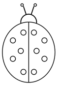 biedronka