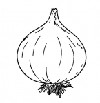 Cebula