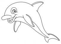 Delfin