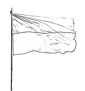 Flaga Polski