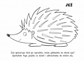 Jeż