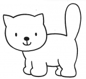 Kot