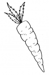 Marchewka