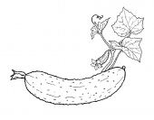 Ogórek