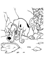 Scooby