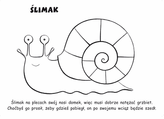 Ślimak