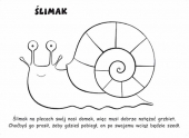 Ślimak