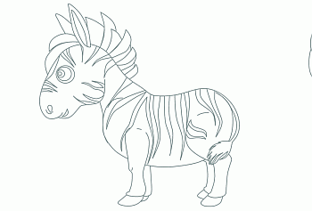 Zebra