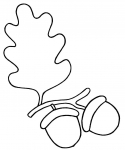 żołędzie