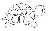 Żółw