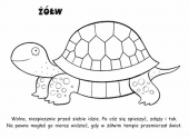 Żółw
