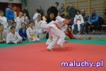  Judo Tigers Oleśnica - zajęcia sportowo - rekreacyjne dla dzieci i młodzieży