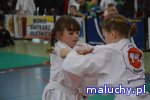  Judo Tigers Oleśnica - zajęcia sportowo - rekreacyjne dla dzieci i młodzieży