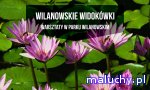 WILANOWSKIE WIDOKÓWKI | warsztaty dla rodzin - Warszawa - zajęcia dla dzieci