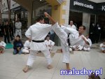  Krakowski Klub Karate Tradycyjnego