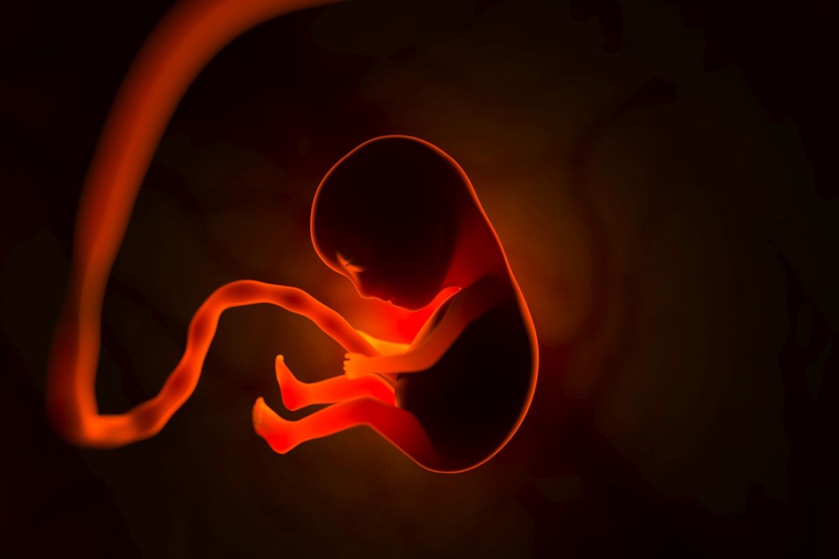 NIFTY test - jak działa badanie DNA płodu z krwi matki?